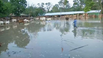 Фотография к новости: Үндістанда найзағай түсіп, 50 адам қаза болды
