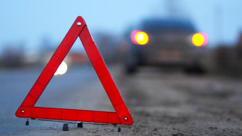 Фотография к новости: Елордалық Павлодар облысында зейнеткерді қағып өлтірді