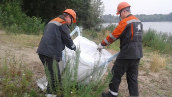 Фотография к новости: Павлодарлықтар «Таза Қазақстан» акциясын қолдады