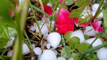 Фотография к новости: Еліміздің батысында бұршақ жауып, қатты дауыл соғады