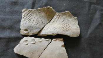 Фотография к новости: Ғалымдар Эквадордан белгісіз өркениеттің жәдігерлерін тапты 