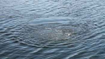 Фотография к новости: Алматы облысында биыл 25 адам суға кеткен