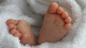 Фотография к новости: Таразда үшем дүниеге келді