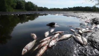 Фотография к новости: Еуропада ыстықтан өзендер мен көлдердің суы тартыла бастады