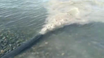 Фотография к новости: Алакөлге құбырдан қандай су аққаны белгілі болды