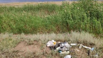 Фотография к новости: Елордада кезекті #Birge #TazaQazaqstan экологиялық акциясы өтеді