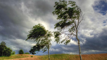 Фотография к новости: Бүгін еліміздің басым бөлігінде жел күшейіп, бұршақ жаууы ықтимал 
