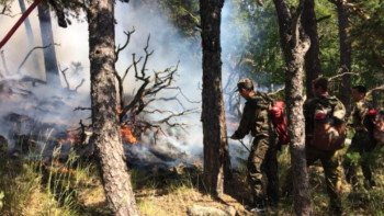 Фотография к новости:  Ақмола облысында 30 орман өрті тіркелді