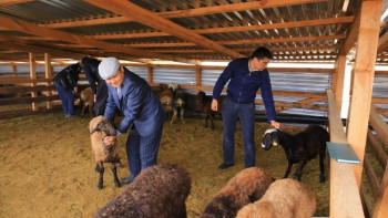 Фотография к новости: Елордада құрбандық шалатын орындар белгіленді