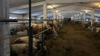 Фотография к новости: Қарағанды облысында жаңа мал шаруашылығы кешені іске қосылады