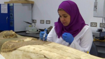 Фотография к новости: Тутанхамонның табыты жөндеу жұмыстарынан өтеді