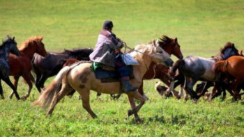 Фотография к новости: Қарағанды облысында жергілікті тұрғынға 8 млн теңге шығын келтірген барымташы тергелуде
