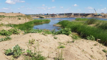 Фотография к новости: Ақтөбеде ағаш кескені үшін жауапқа тартылатын мекемелер аталды