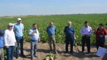 Фотография к новости: ﻿Жамбыл облысында қант қызылшасын өсірудің жаңа тәсілдері таныстырылды