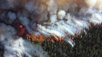 Фотография к новости: Сібірдегі өрт қасақана ұйымдастырылған  – Ресей Бас прокуратурасы