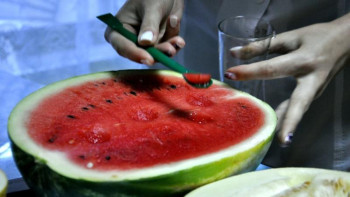 Фотография к новости: Өскеменде мамандар қарбыз бен қауынға сынама жасады