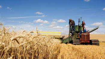 Фотография к новости: Ақмола облысында 20 тамыздан бастап жаппай орақ науқаны басталады