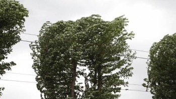 Фотография к новости: Түркістан облысында дабылды ескерту жарияланды