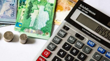 Фотография к новости: Шымкентте мүмкіндігі шектеулі жандар заңсыз салық төлеп келген