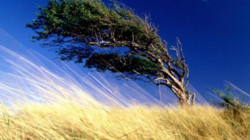 Фотография к новости: Еліміздің үш облысында дабылды ескерту жарияланды