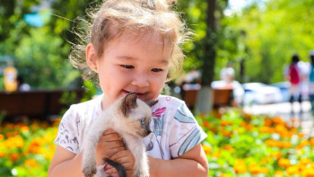 Фотография к новости: Елордада айына 2 рет ит-мысықтар жәрмеңкесі өтеді