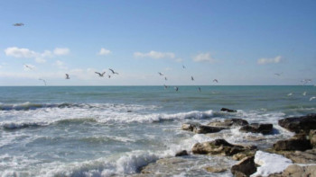 Фотография к новости: Ақтауда Каспий күні атап өтіледі