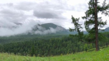 Фотография к новости: Отандық ғалымдар Алтайға экспедиция жасады 