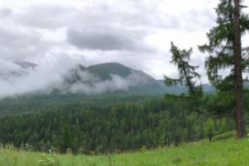 Фотография к новости: Отандық ғалымдар Алтайға экспедиция жасады 