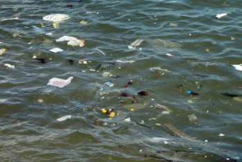 Фотография к новости: Ғалымдар теңіздегі пластикті ыдыратып жіберетін құрылғы ойлап тапты 