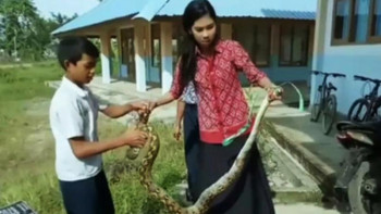 Фотография к новости: Мұғалім питонды ұстап алып, балаларды аман алып қалды