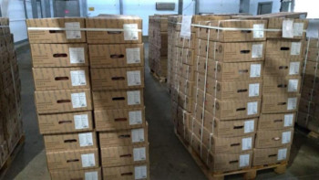 Фотография к новости: Қытайға сиыр етінің бірінші партиясы жөнелтілді