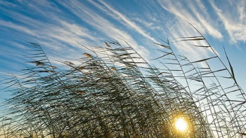 Фотография к новости: Маңғыстау облысында ауа райына байланысты ескерту жарияланды