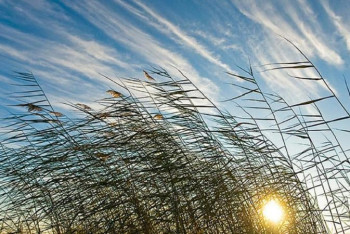 Фотография к новости: Маңғыстау облысында ауа райына байланысты ескерту жарияланды