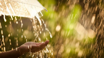 Фотография к новости: Бүгін еліміздің басым бөлігінде ауа райы құбылмалы болады 