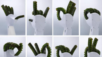 Фотография к новости: Ғалымдар ауруды сезінетін және өзін-өзі емдейтін жасанды қол ойлап тапты 