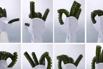 Фотография к новости: Ғалымдар ауруды сезінетін және өзін-өзі емдейтін жасанды қол ойлап тапты 