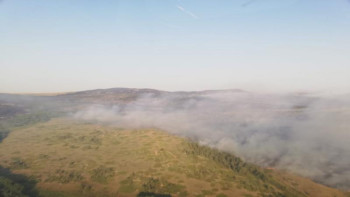 Фотография к новости: Қарқаралыдағы төтенше жағдай: Өрт аумағы 2500 гектарға жеткен