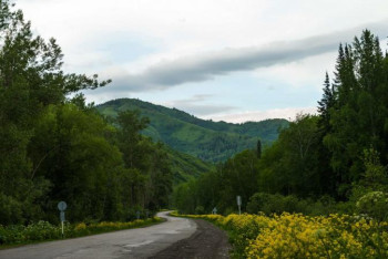 Фотография к новости: Риддерде жоғалып кеткен балалар орманның ішінен табылды