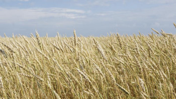 Фотография к новости: Солтүстік Қазақстан облысында «Дала күні» өтті