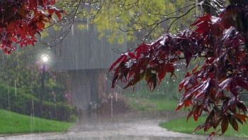 Фотография к новости: Алдағы үш күн жауынды болады