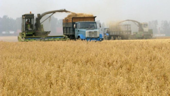 Фотография к новости: Ақтөбе облысынада жаппай егін жинау науқаны басталады