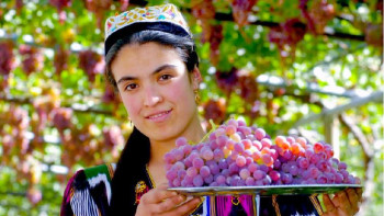 Фотография к новости: Тәжікстанда алма мен жүзім күндері тойланатын болады