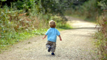 Фотография к новости: ШҚО-да жоғалып кеткен 1,5 жастағы бала табылмай жатыр