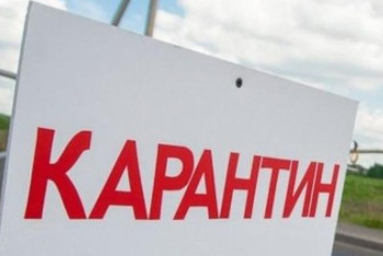 Фотография к новости: Ақмола облысында сібір жарасына байланысты карантин жарияланды