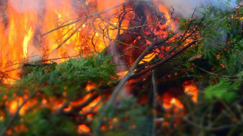 Фотография к новости: СҚО әкiмi орман өрттерiн алдын алуды тапсырды