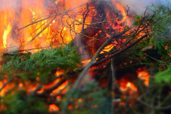 Фотография к новости: СҚО әкiмi орман өрттерiн алдын алуды тапсырды