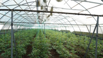 Фотография к новости: Ақмола облысының әкімі Қорғалжындағы бірқатар кәсіпорынды аралады 