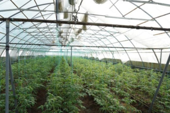 Фотография к новости: Ақмола облысының әкімі Қорғалжындағы бірқатар кәсіпорынды аралады 