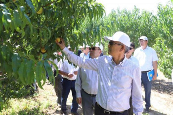Фотография к новости: Маңғыстау облысының әкімі ауылшаруашылық нысандарының жұмысымен танысты