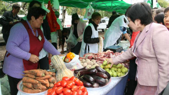 Фотография к новости: Азық-түлік бағасына апта сайын бақылау жүргізіледі